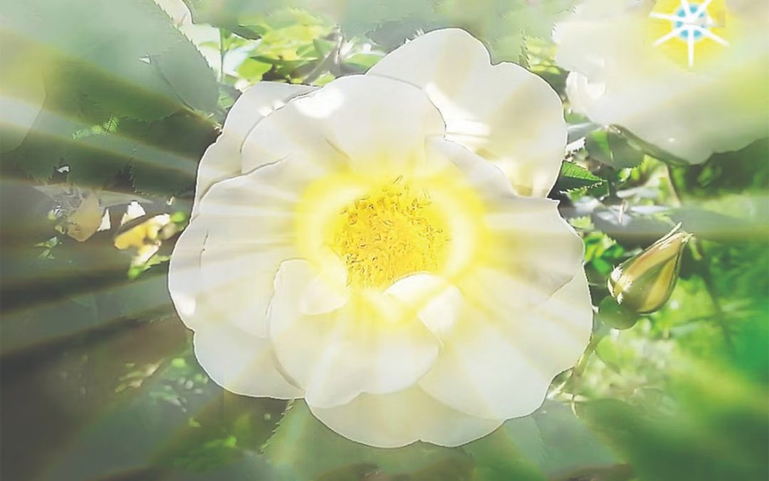 12:30pm—1:30pmLiving a Soul-Directed LifeSing the Sound of Soul, HU, to access your own inner wisdom.