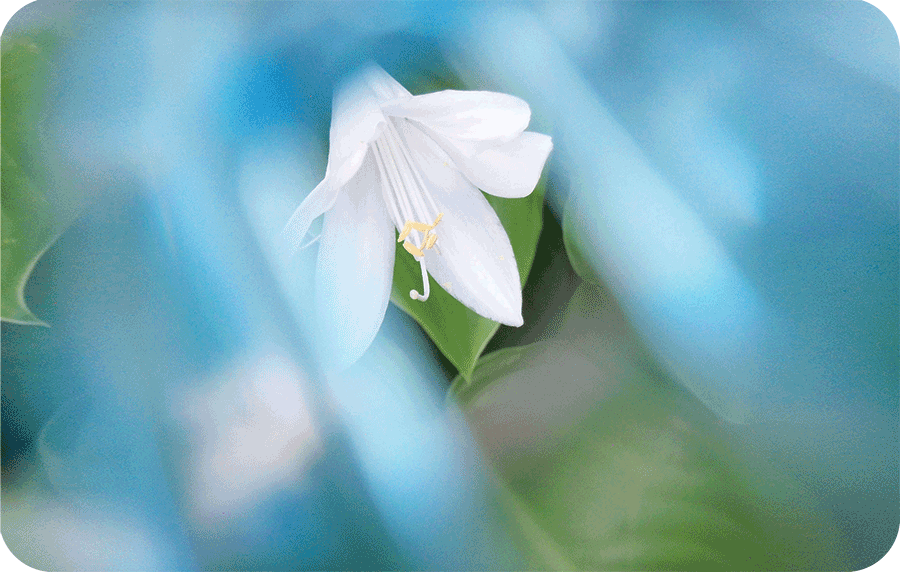 12:30 pm—01:30 pm  Sing HU to Be in Tune with the Rhythm of LifeAlign yourself with the rhythm and wonders of life by vibrating in tune with the Divine Sound current.