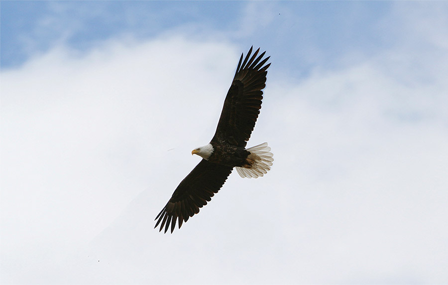 12:30 pm—01:30 pm Your Mission, Your Destiny: To Be a Co-Worker with GodExperience how the Sound of Soul can open your heart to God’s guidance, bringing greater clarity to your true purpose in life.