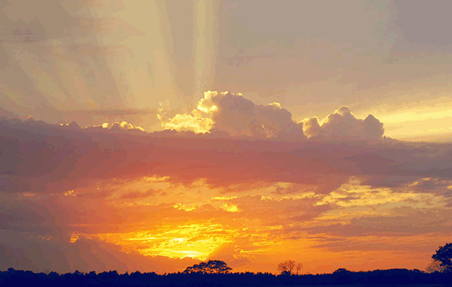 12:30 pm—01:30 pm  Finding the Silver Lining in Life’s Challenges Welcome every challenge as an opportunity for growth.